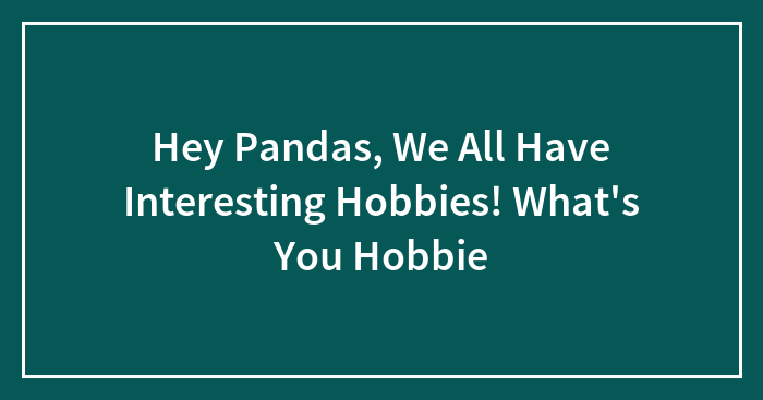 Hey Pandas, We All Have Interesting Hobbies! What’s You Hobbie
