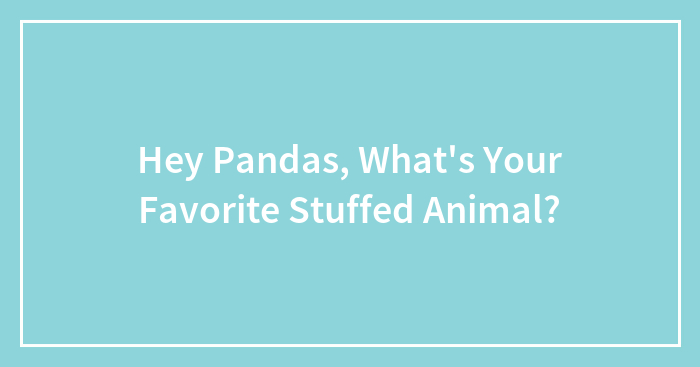 Hey Pandas, What’s Your Favorite Stuffed Animal?