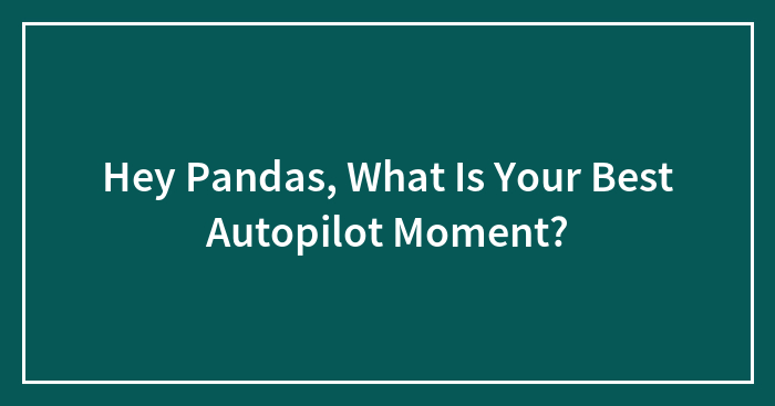 Hey Pandas, What Is Your Best Autopilot Moment? (Closed)