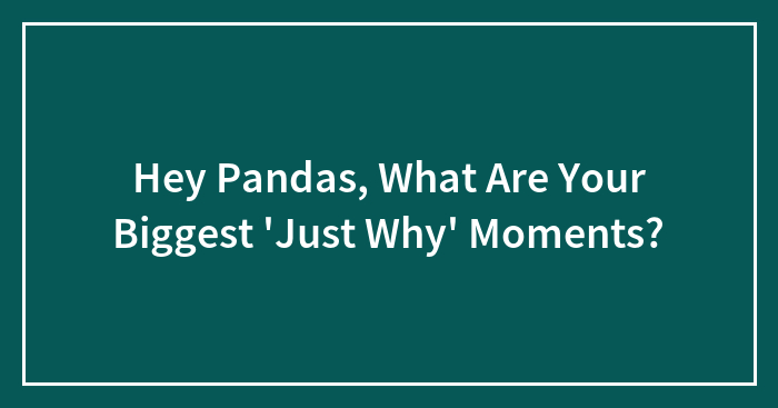 Hey Pandas, What Are Your Biggest ‘Just Why’ Moments? (Closed)