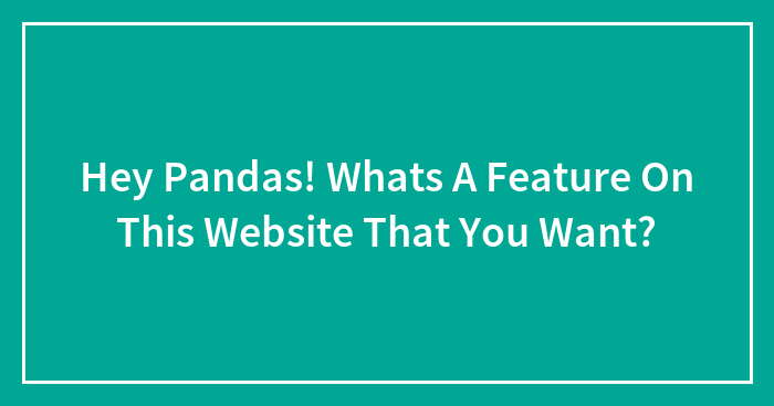 Hey Pandas! Whats A Feature On This Website That You Want?