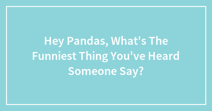 Hey Pandas, What’s The Funniest Thing You’ve Heard Someone Say?