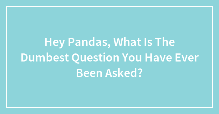 Hey Pandas, What Is The Dumbest Question You Have Ever Been Asked?