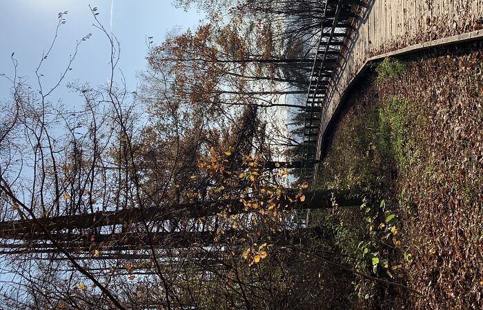 Nature Changed My View Of Life (8 Pics)