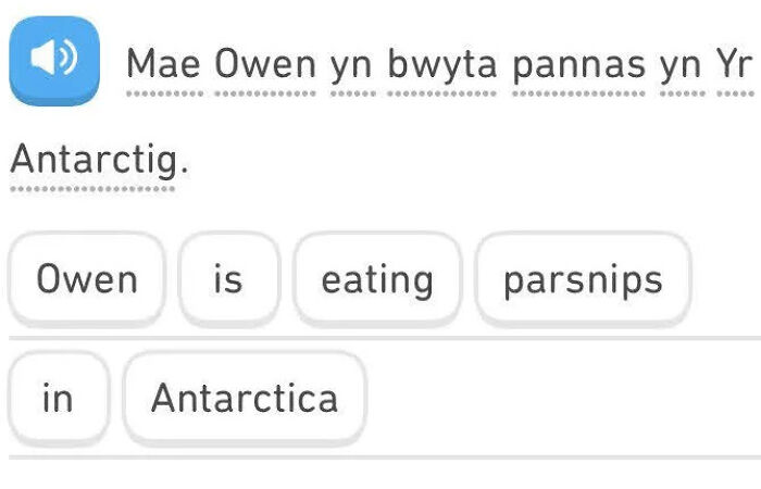 30 Duolingo Sentences That Are Witty And Hilariously Dark