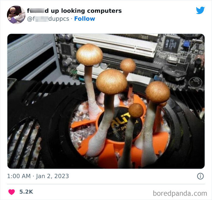 Cursed-Looking-Computers