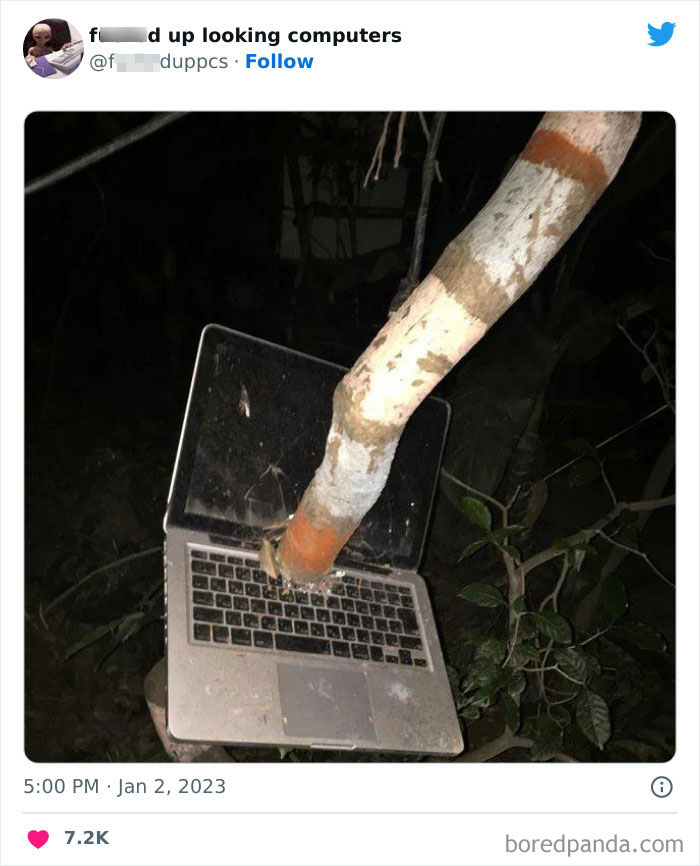 Cursed-Looking-Computers