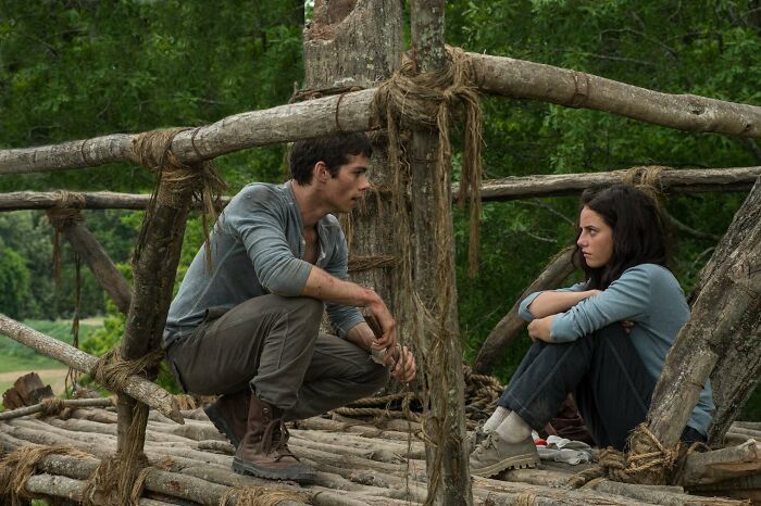 The Maze Runner