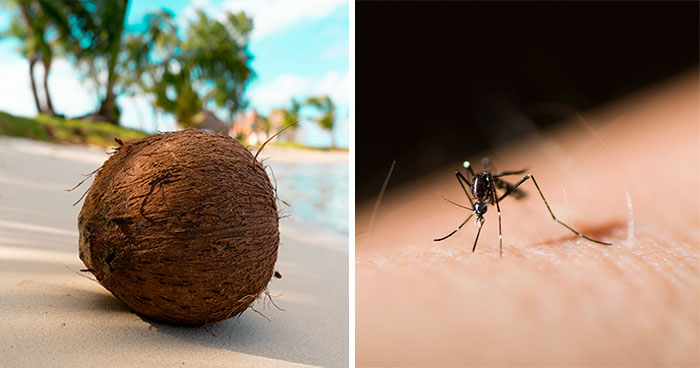 “Mozzarella Sticks”: 40 Life-Threatening Things That Are More Deadly Than Most People Think