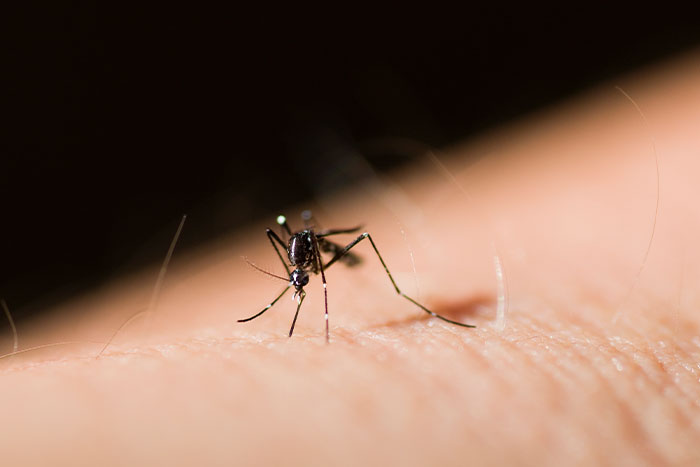 "Mozzarella Sticks": 40 Life-Threatening Things That Are More Deadly Than Most People Think