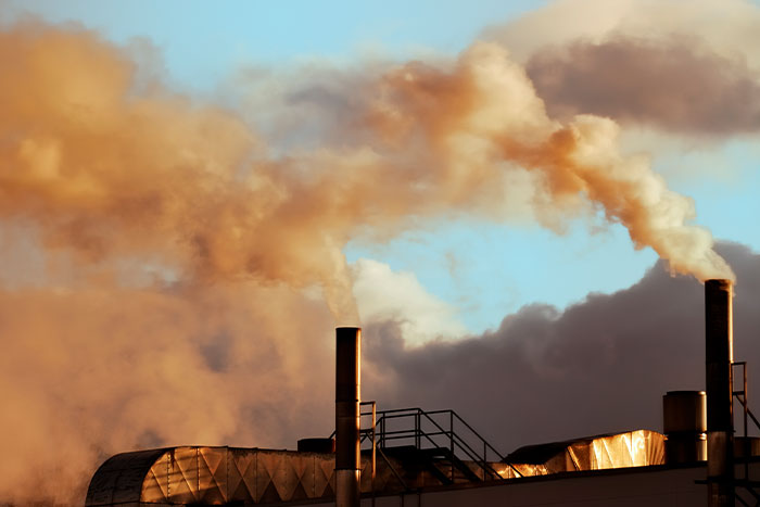 "Mozzarella Sticks": 40 Life-Threatening Things That Are More Deadly Than Most People Think