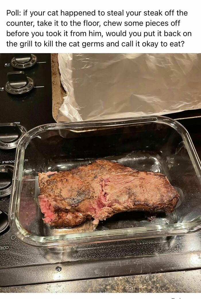 Disgusting-Food-Pics-Why-Dont-Do-Potlucks