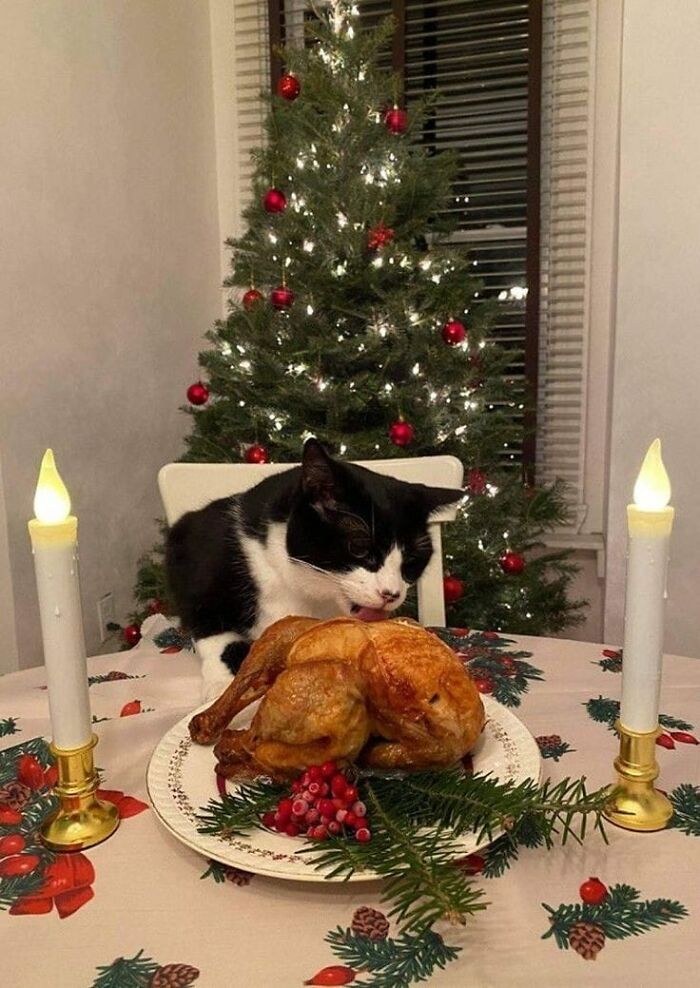 The "This Is Why I Don't Do Potlucks" Facebook Group Shares The Worst Dishes Someone Had The Audacity To Serve (40 New Pics)