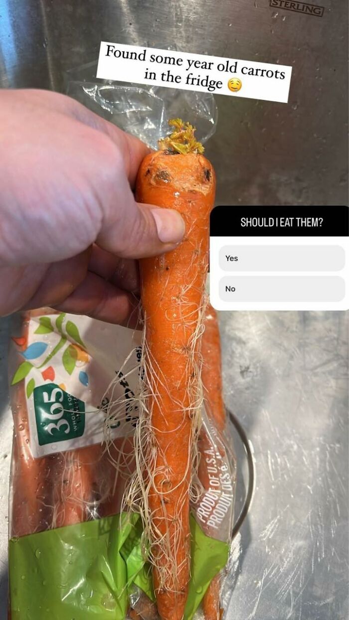 Disgusting-Food-Pics-Why-Dont-Do-Potlucks