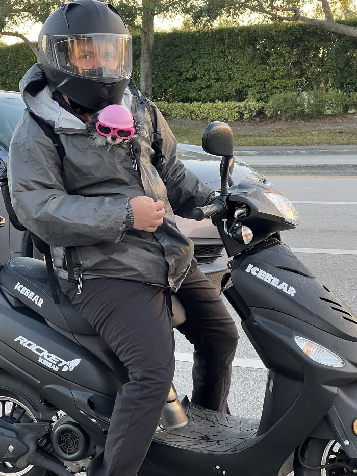 Yo estaba en un semáforo en rojo, Boynton Beach, Florida a las 7.30am