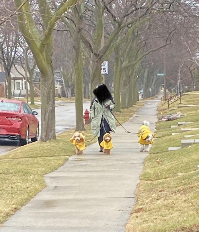 The Gang’s Ready For The Rain!