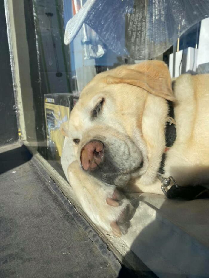 New Bespoke Light Installation