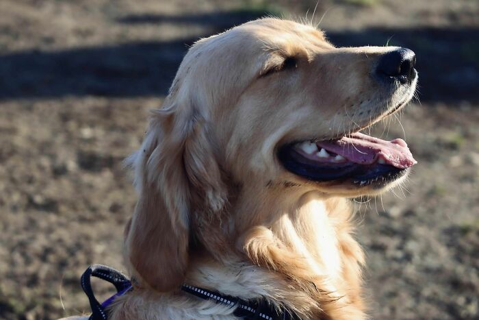 La chica más buena llamada Summer, la he conocido hoy