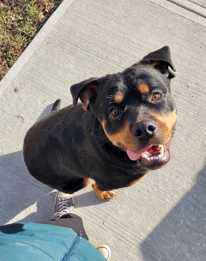 Esta es Xena, la Princesa Guerrera