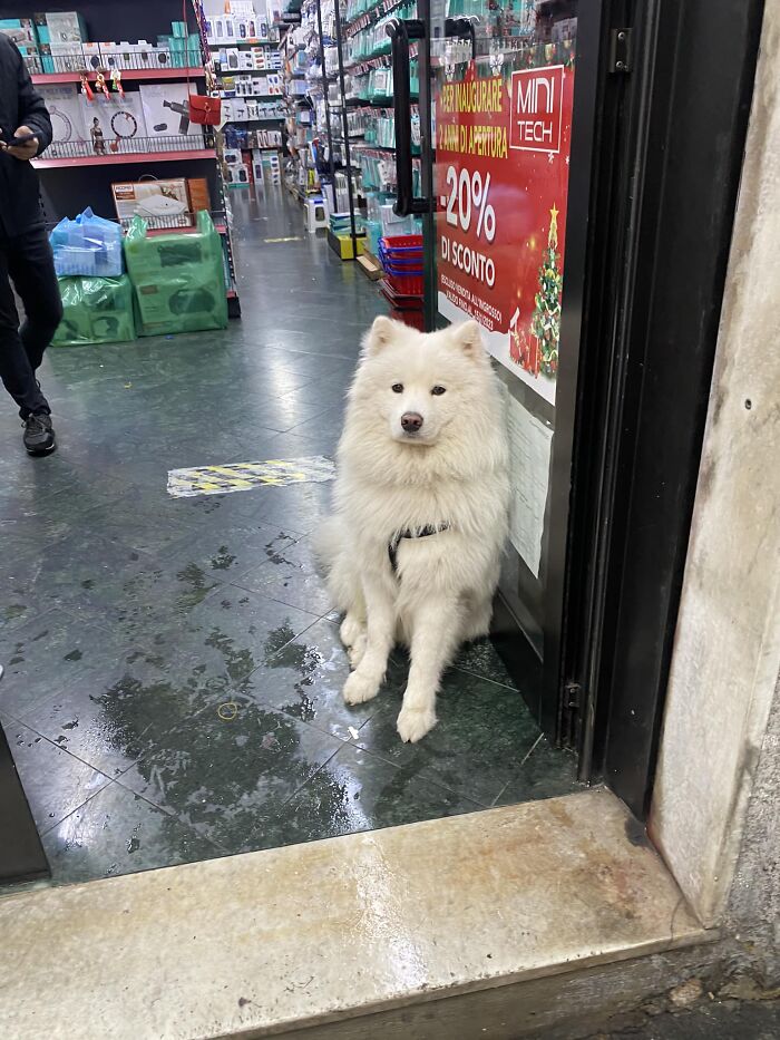 Last Weekend In Milan’s Chinatown! He Was Soooo Ccuuuttteee