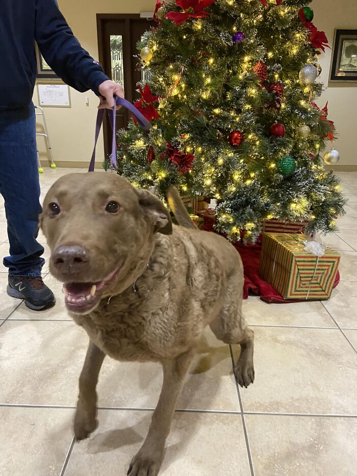 Spotted At Work. Her Name Is Jackie O And She Is My Favorite Visitor