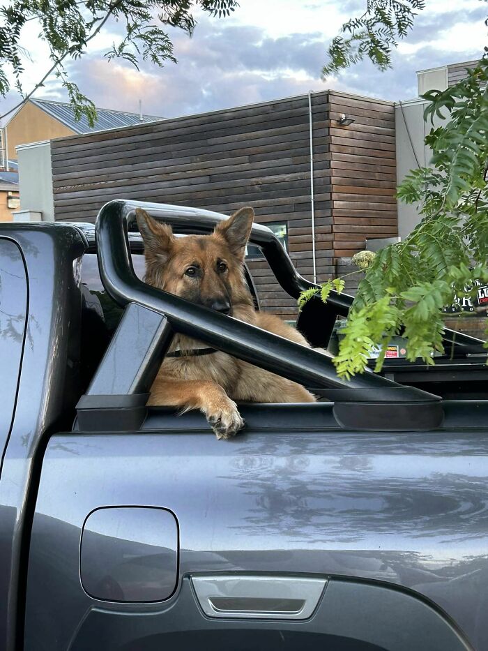 Vi a este chico duro en Taupo, Nueva Zelanda