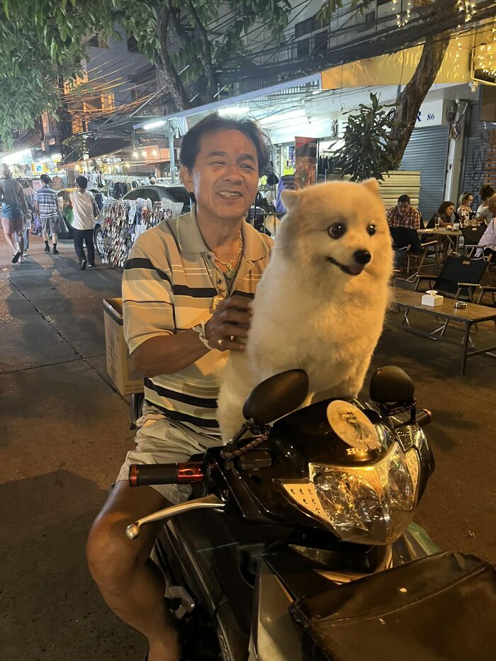 Avistado este pequeño viajando por Bangkok con su padre