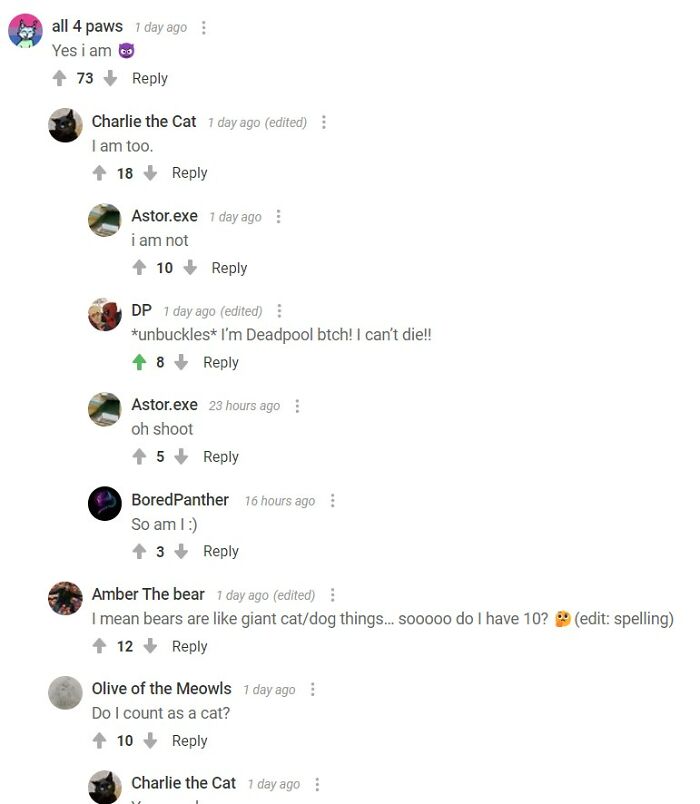 Cats Have 9 Lives; You Are Not A Cat, So Buckle Up