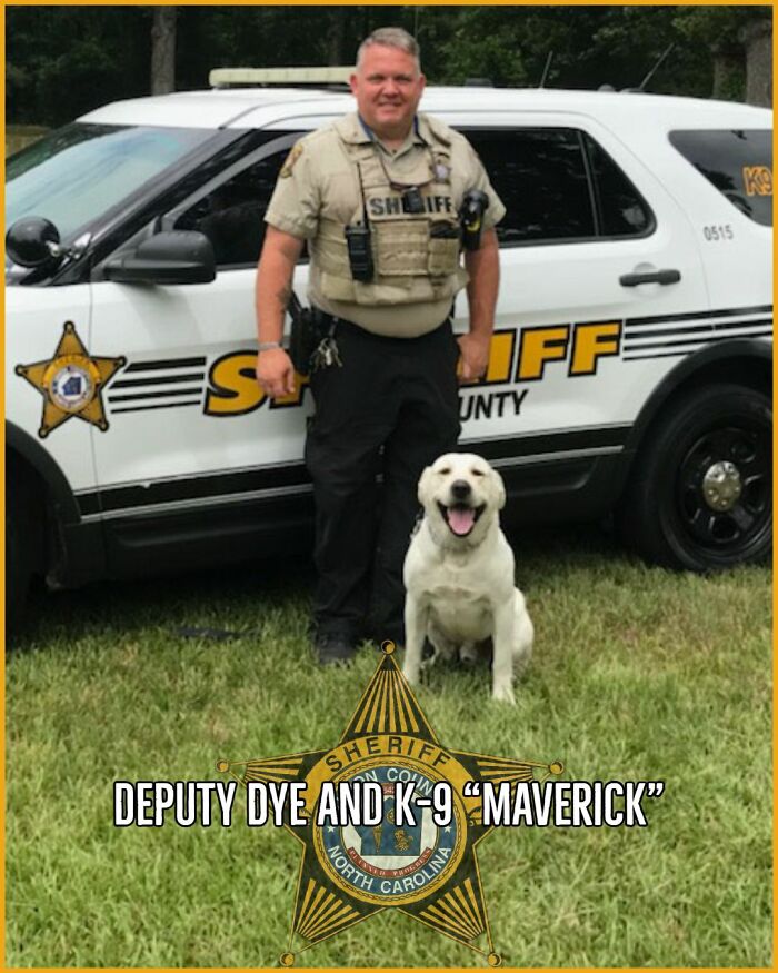 10 Inspiring Stories Of Pets Who Became Heroes Of 2022