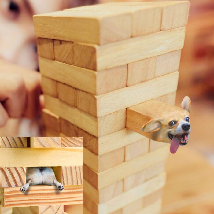 A Photoshop Artist Uses His Imagination To Insert Animals Where You Wouldn't Expect Them To Be ( 18 Pics)