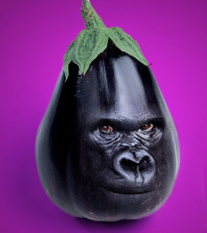 A Photoshop Artist Uses His Imagination To Insert Animals Where You Wouldn't Expect Them To Be ( 18 Pics)