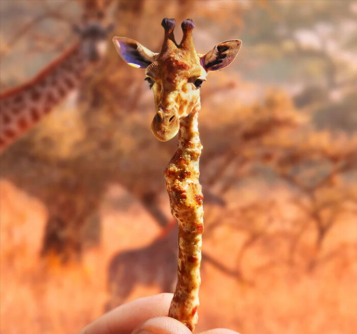 A Photoshop Artist Uses His Imagination To Insert Animals Where You Wouldn't Expect Them To Be ( 18 Pics)