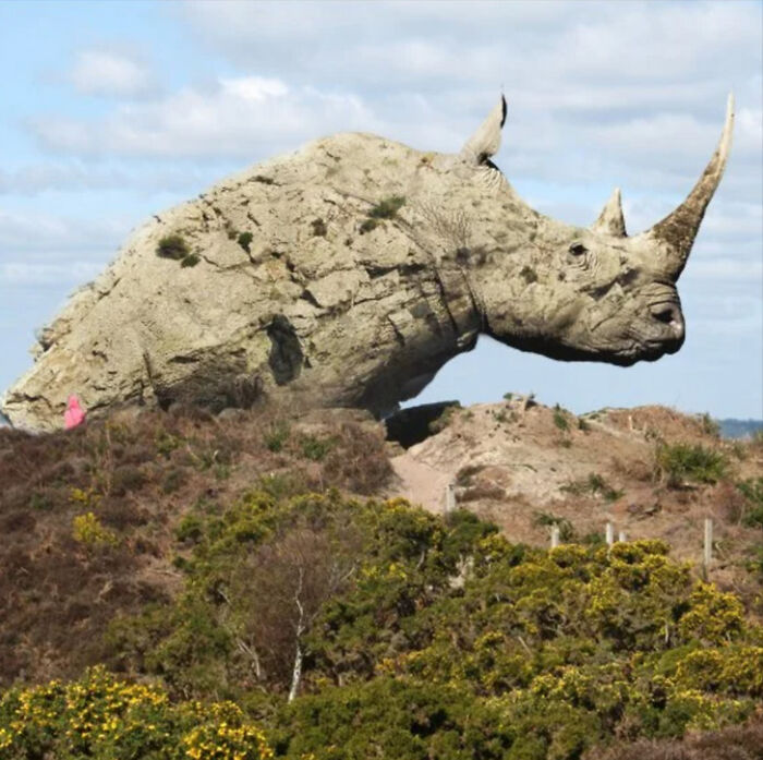 A Photoshop Artist Uses His Imagination To Insert Animals Where You Wouldn't Expect Them To Be ( 18 Pics)