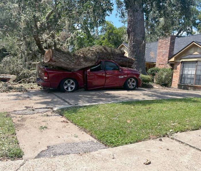 A un vecino le cortan un árbol muerto. El contratista cometió un pequeño error