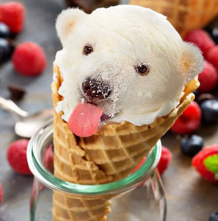 A Photoshop Artist Uses His Imagination To Insert Animals Where You Wouldn't Expect Them To Be ( 18 Pics)