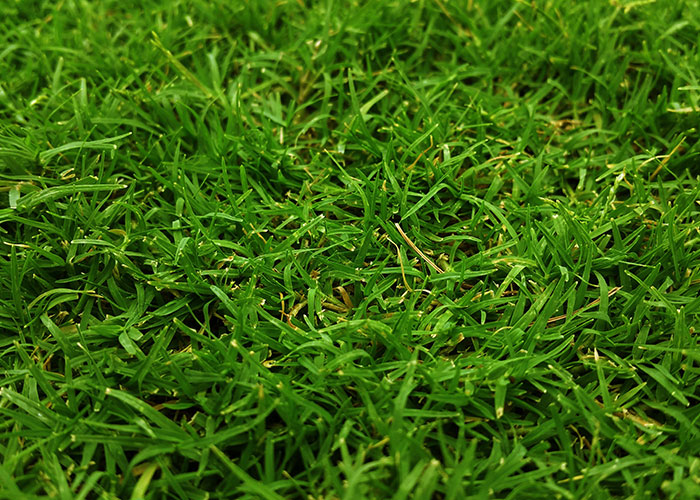 People Share 50 Random And Weird Facts That Make Others Think 'How The Hell Do You Know That?'