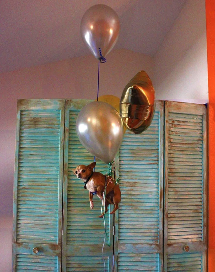 People Share 50 Random And Weird Facts That Make Others Think 'How The Hell Do You Know That?'