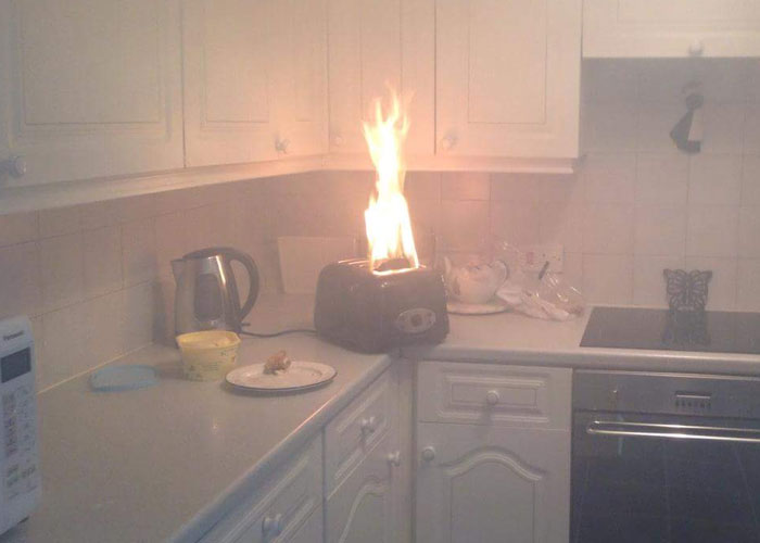 People Share 50 Random And Weird Facts That Make Others Think 'How The Hell Do You Know That?'