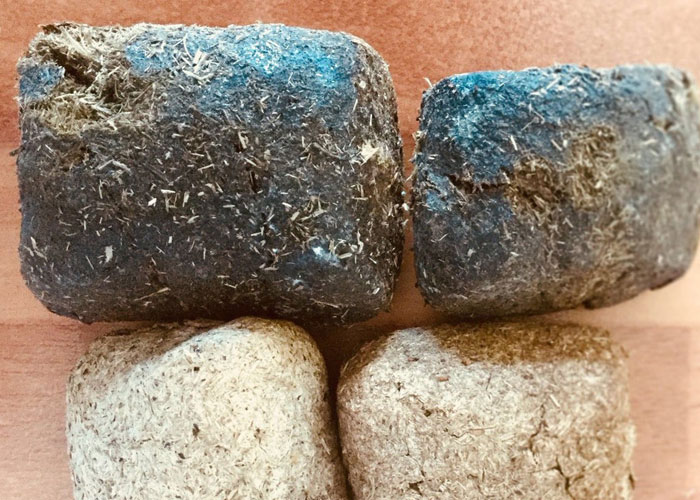 People Share 50 Random And Weird Facts That Make Others Think 'How The Hell Do You Know That?'