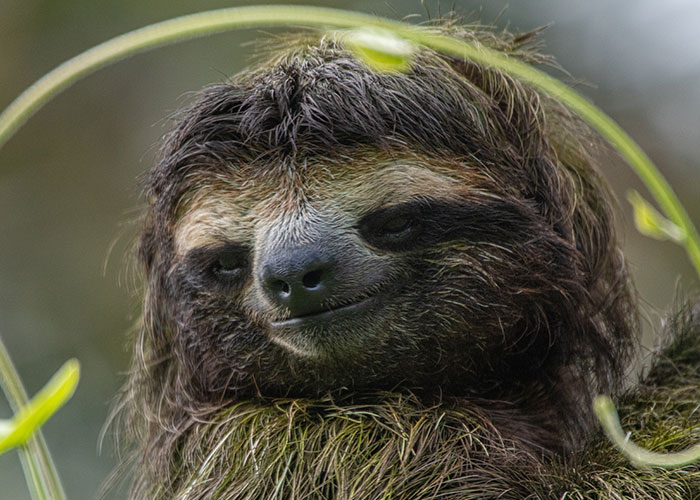 People Share 50 Random And Weird Facts That Make Others Think 'How The Hell Do You Know That?'