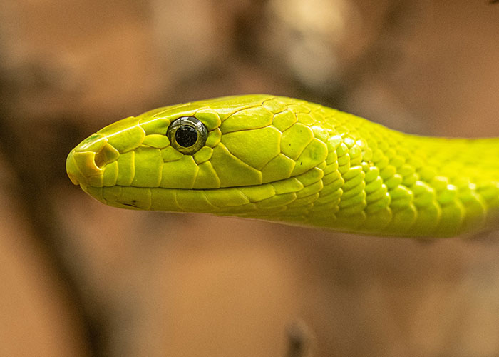 People Share 50 Random And Weird Facts That Make Others Think 'How The Hell Do You Know That?'