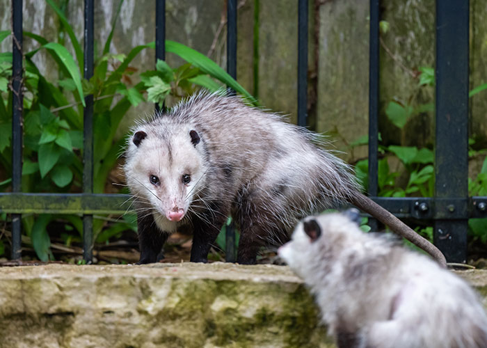 People Share 50 Random And Weird Facts That Make Others Think 'How The Hell Do You Know That?'