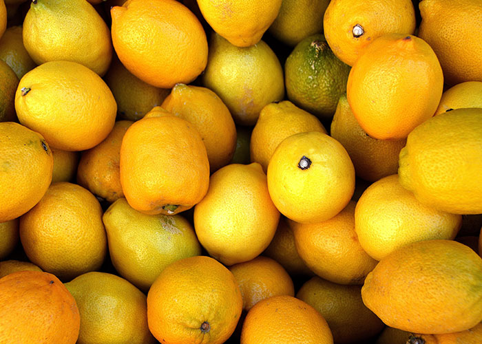 People Share 50 Random And Weird Facts That Make Others Think 'How The Hell Do You Know That?'