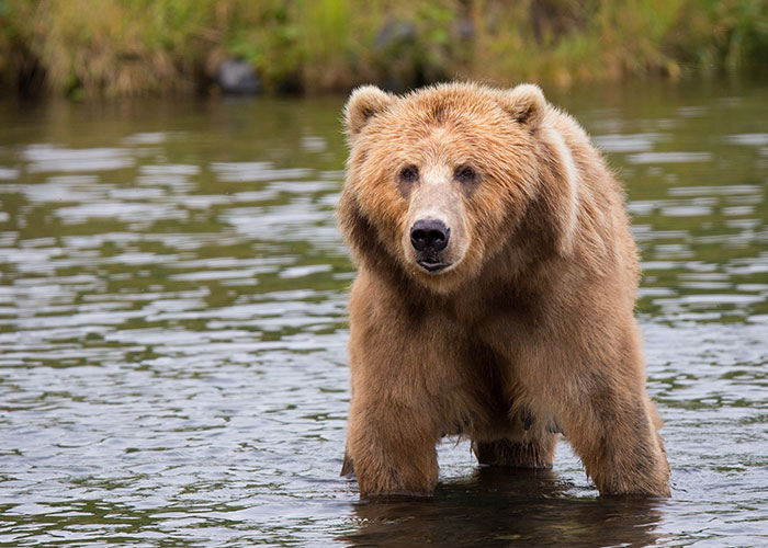 People Share 50 Random And Weird Facts That Make Others Think 'How The Hell Do You Know That?'