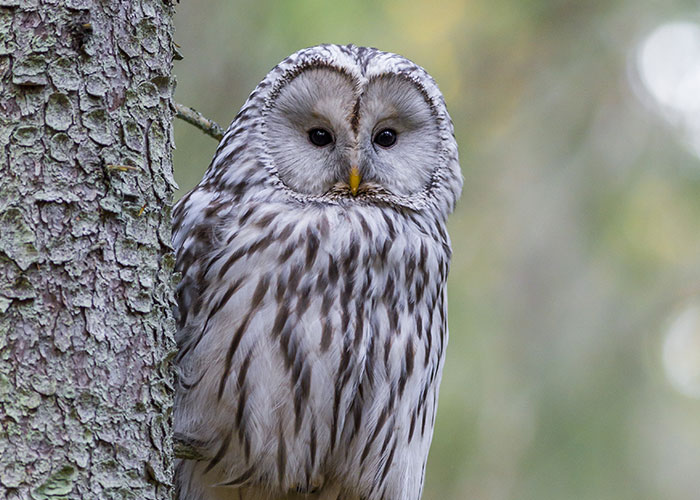 People Share 50 Random And Weird Facts That Make Others Think 'How The Hell Do You Know That?'