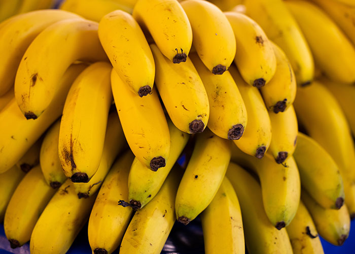 People Share 50 Random And Weird Facts That Make Others Think 'How The Hell Do You Know That?'