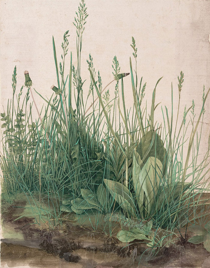 Famous watercolor painting depicting a natural scene with detailed greenery and plants.