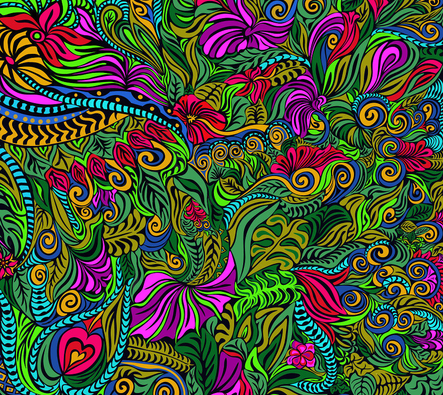 Flora And Fauna Series