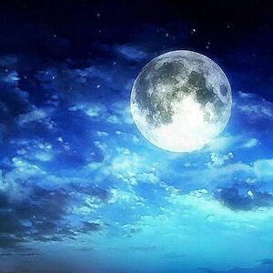 moonlight_6 avatar