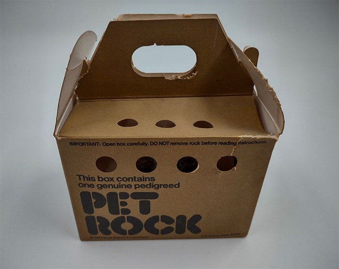 Cardboard box labeled pet rock with ventilation holes, representing a forgotten big trend from the past.
